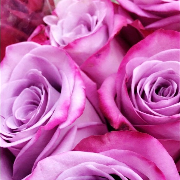 Meet your Posher, Yuli - Picture 1 of 1